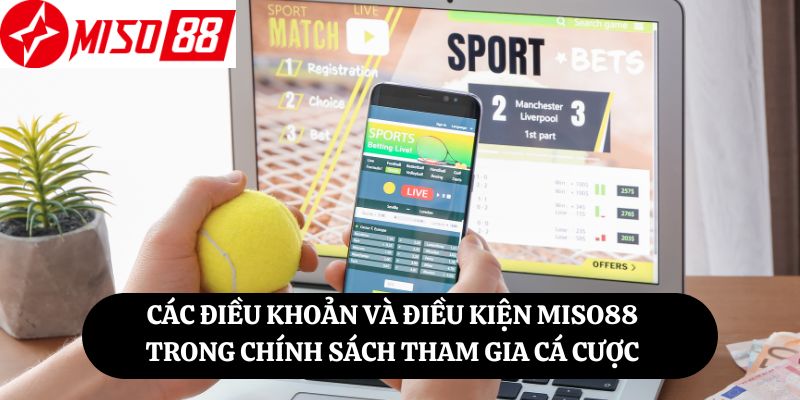 Các điều khoản điều kiện Miso88 trong chính sách tham gia cá cược