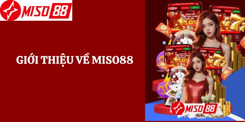 Giới thiệu về Miso88