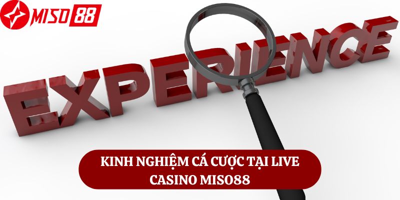 Kinh nghiệm cá cược tại live casino Miso88