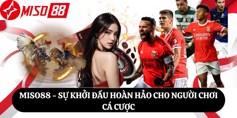 Miso88 - Sự Khởi Đầu Hoàn Hảo Cho Người Chơi Cá Cược