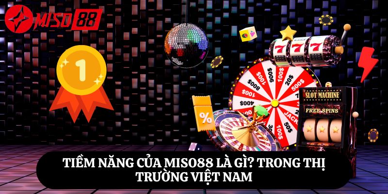 Tiềm năng của Miso88 là gì? Trong thị trường Việt Nam